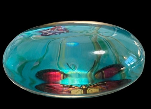 Butterfly Fridge Magnet Round Glass 2” Diameter - Picture 4 of 7
