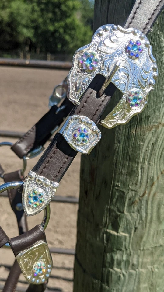 Halter Silver Show - Piedras Iridiscentes - Aceite Oscuro - Tamaño Caballo - Plomo a Juego Foto 2 de 4