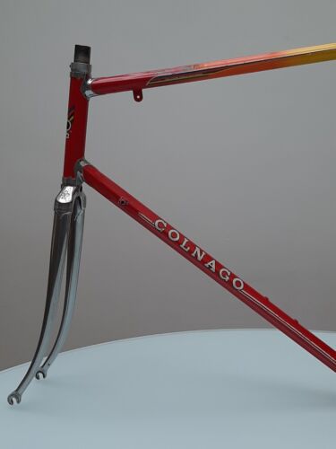 colnago master team Malvor-Colnago - Bild 10 von 24