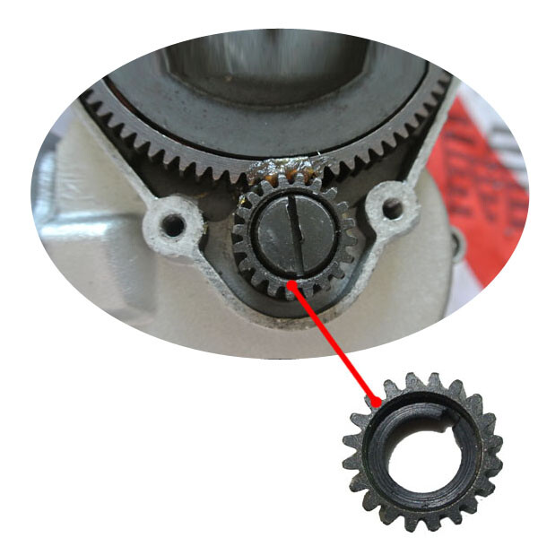 Flywheel Bevel Pinion For 49cc 60cc 66cc 80cc Motorized Bicycle