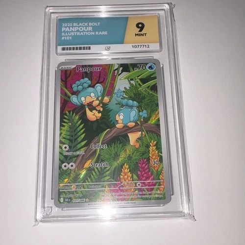 Pokémon TCG: Panpour 101/086 Illustration Rare Foil - Black Bolt 2025 Ace 9 EN