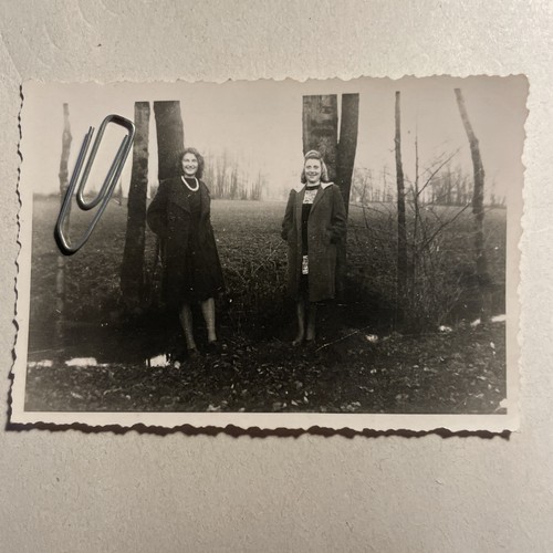 BDM Bund Deutscher Mädel Frau Dame Maid Blitzmädel 9x6 Original Foto 2.WK