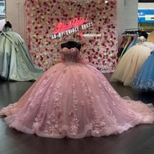 Elegant Pink Ball Gown Quinceanera Dress 3D Floral Applique Beading Bow Sweet 16