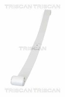 Triscan Federnpaket 8765 10008 Passend FüR Nissan Opel Renault