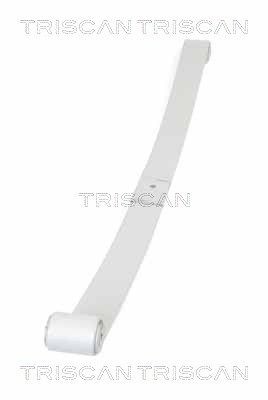Triscan Federnpaket 8765 10008 Passend FüR Nissan Opel Renault-image