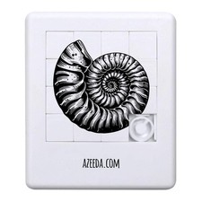 'Ammonite Fossil' Sliding Puzzle (PZ00037475)