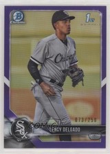 2018 Bowman Draft Chrome Purple Refractor 73/250 Lency Delgado #BDC-37 s3g