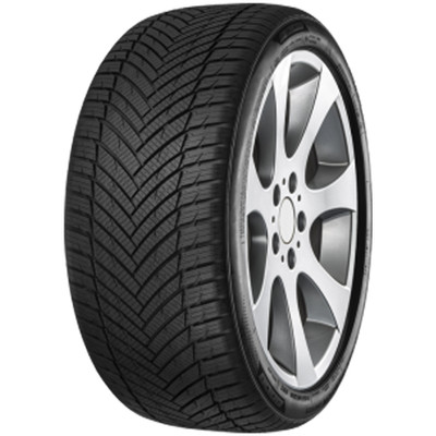MINERVA Ganzjahresreifen 255/50 R20 TL 109W ALL SEASON MASTER XL M+S Allwetter