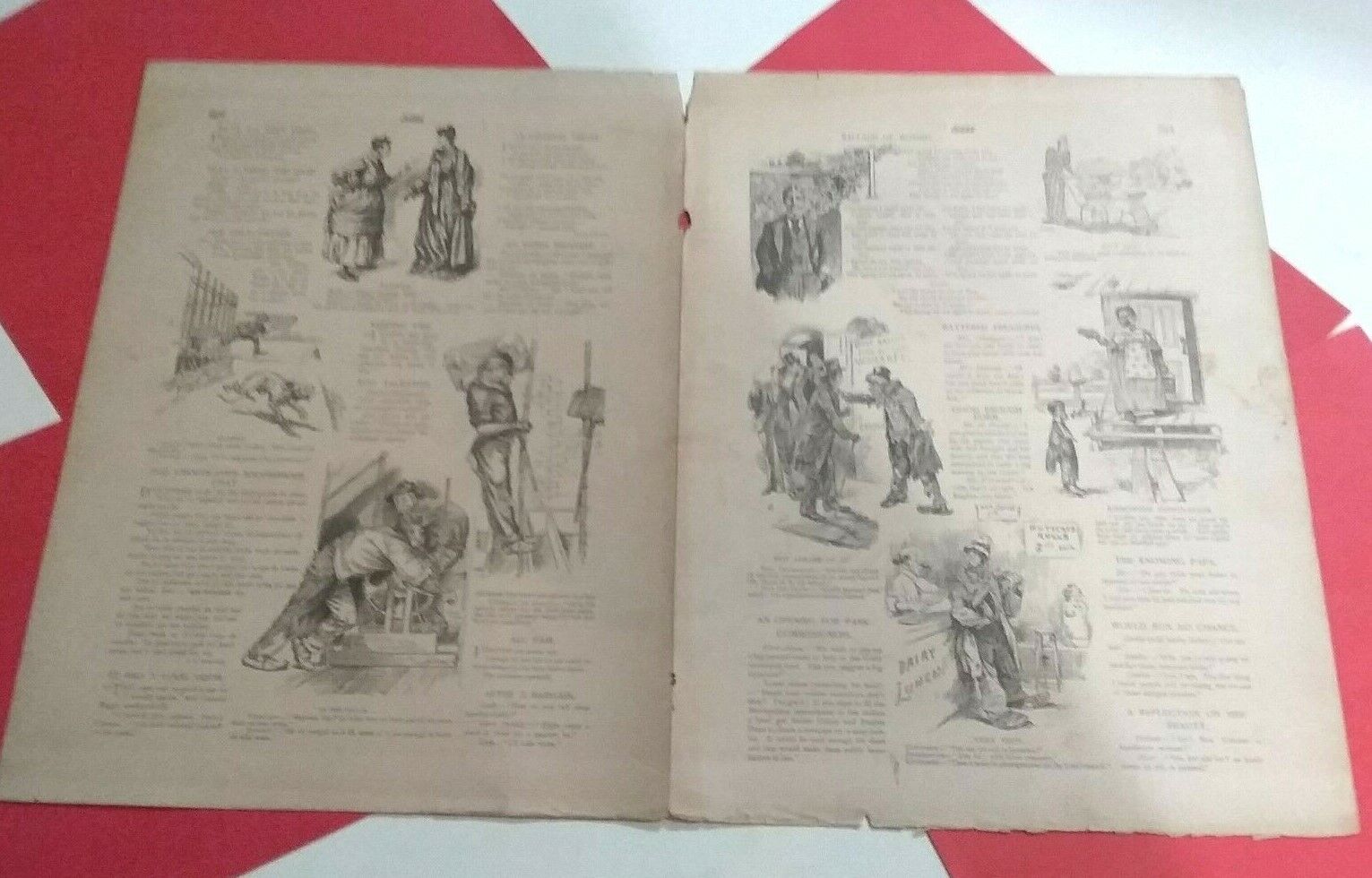 Foto 6 di 11