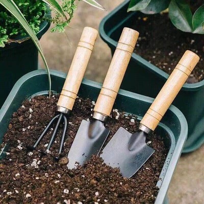 3Pcs/Set Small Plants Garden Tools For Garden Plants Flower Pot Dig Garden T _r1