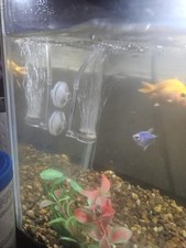 Aquarium Air Stone Diffuser Nano Bubble Oxygen Aerator Fish Tank Accessory USNew