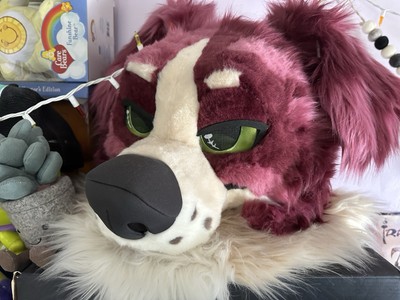 Fursuit Partial Head, Tail, and Art
