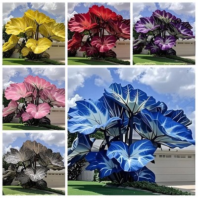 500Pcs Caladium Flower Elephant Ear Seeds Ornamental Plant for Outdoor Courtyard