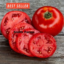 50 Seeds Overpowering Tomato Vegetable Garden Planting Tomatoes