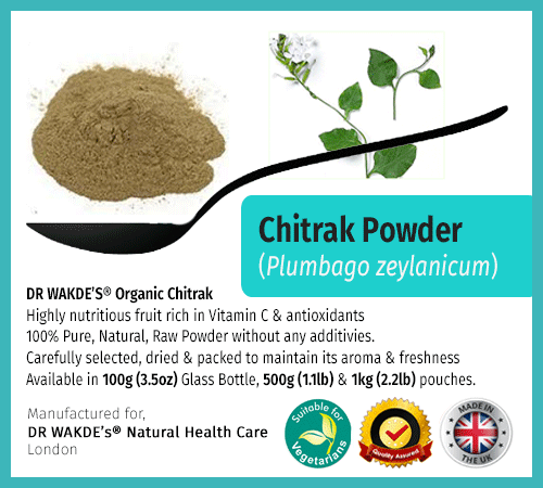 Dr. Wakde's Chitrak Pulver (Plumbago zeylanicum/Bleikraut) - 500g (1,1lb) - Bild 2 von 6