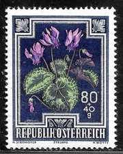 HICK GIRL-MINT AUSTRIA STAMP  SC#B242  1948   SEMI-POSTAL  FLOWER ISSUE     C814