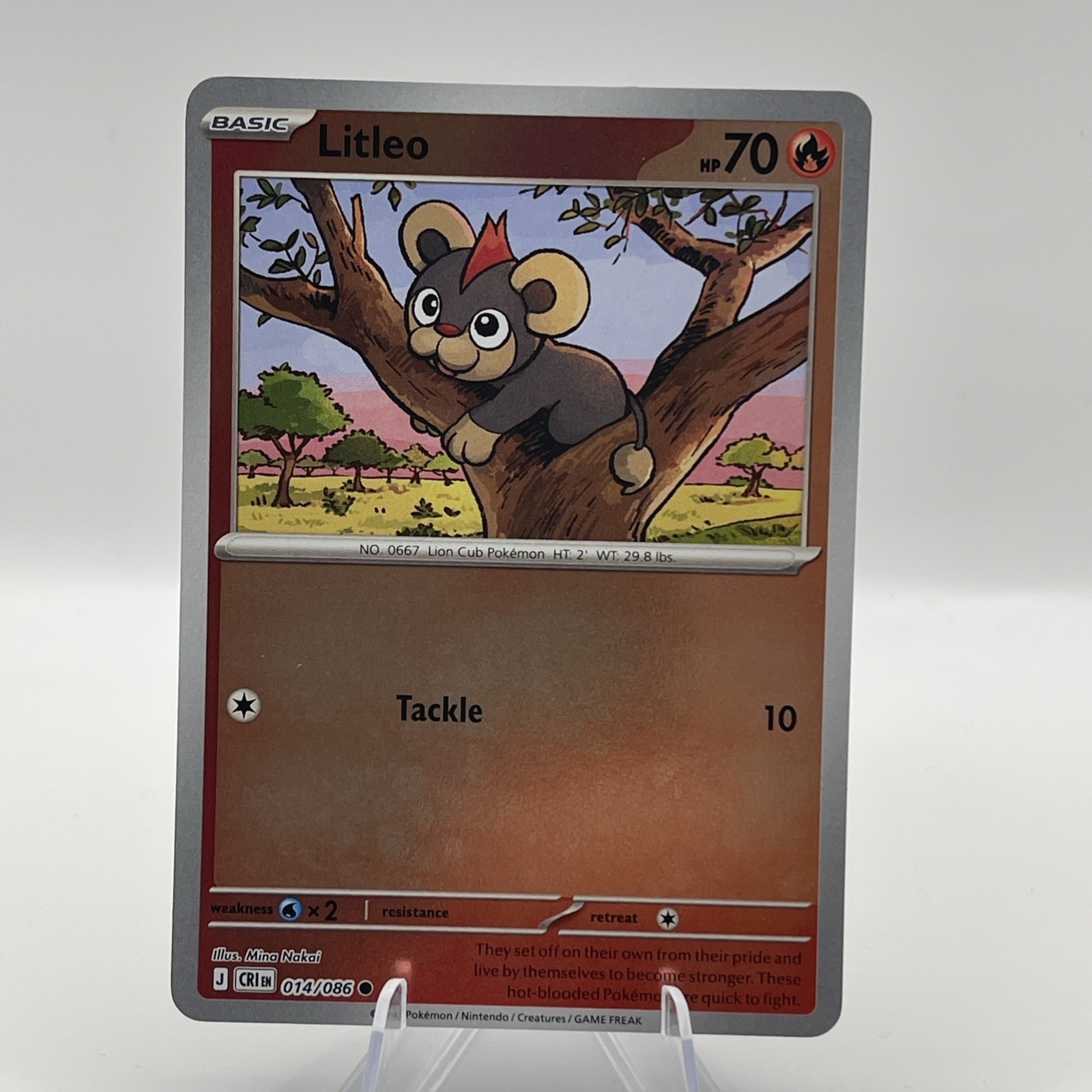 Litleo [Reverse Holo] #14 Pokemon Chaos Rising 