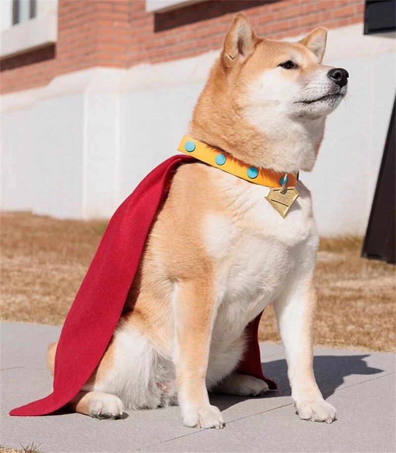 Hecho a mano Anime Superman Superdog Crypto Cosplay Capa Perro Mascota Capa Halloween Nuevo Foto 4 de 4