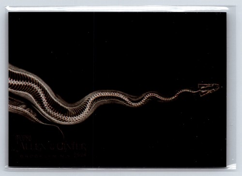 Ball Python #XR-5 2024 Topps Allen & Ginter X-Ray’d card