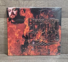 Sealed-Rare-Brandon Jenkins-Down In Flames-Rock CD-2004 WSR 8253462868