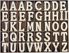 205 Pieces 2 Inch Wooden Letters Wood Alphabets for Crafts,Organized with Extra