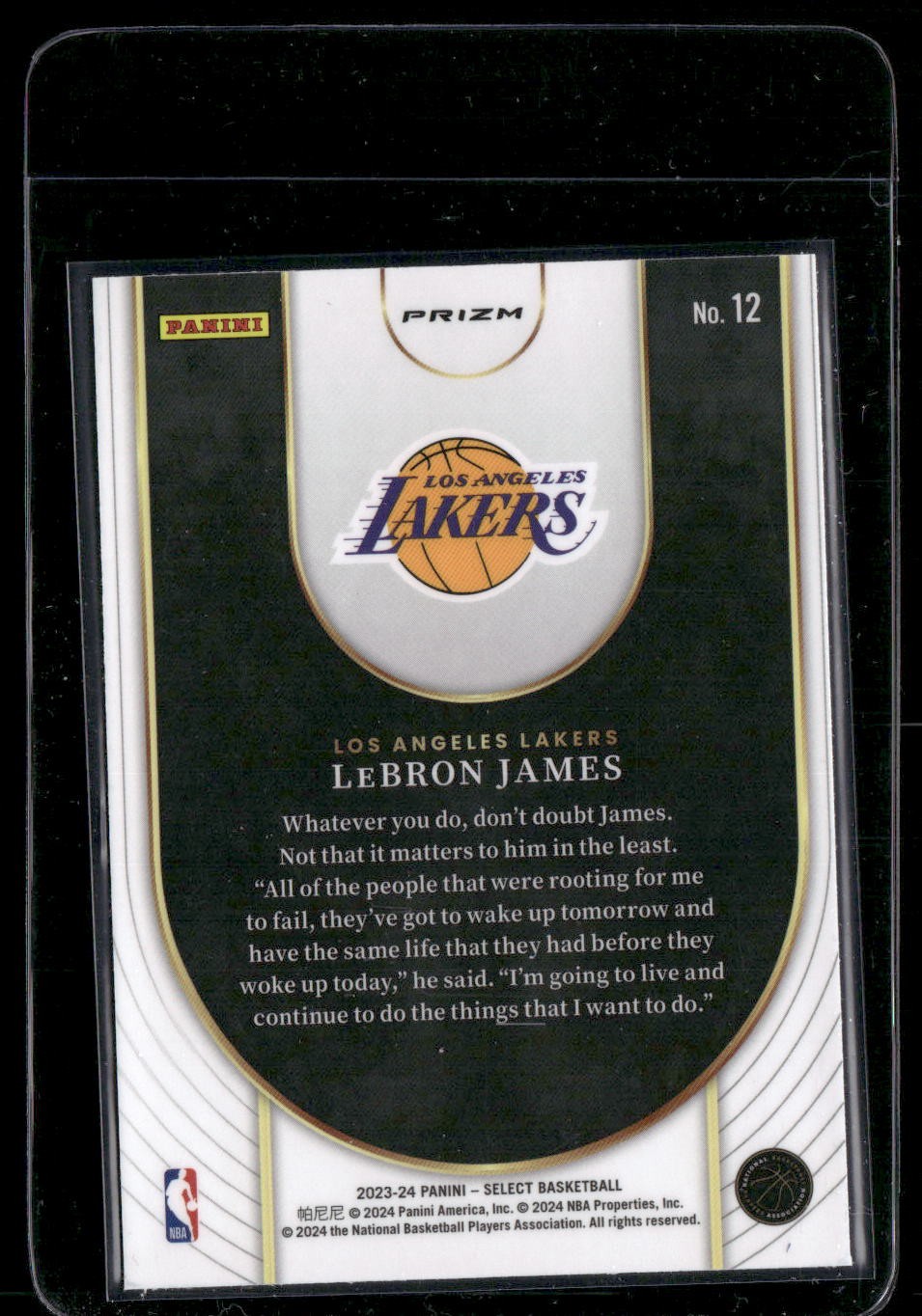 2023-24 Panini Select LeBron James #12 Neon Icon Silver Prizms