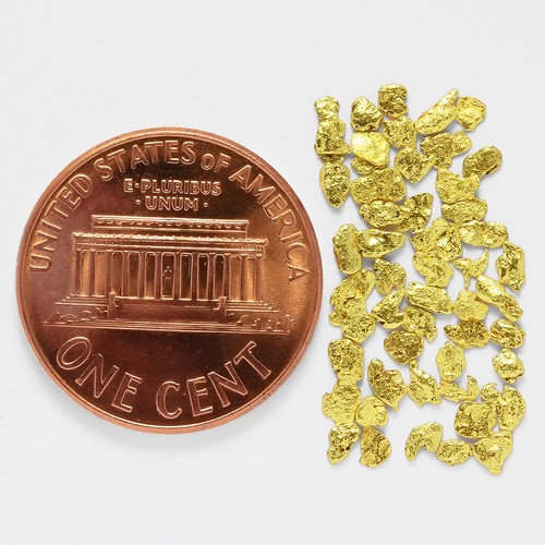 0.7989 Gram Alaska Natural Gold Nuggets --- (#79785-14) - Alaskan Gold Nuggets