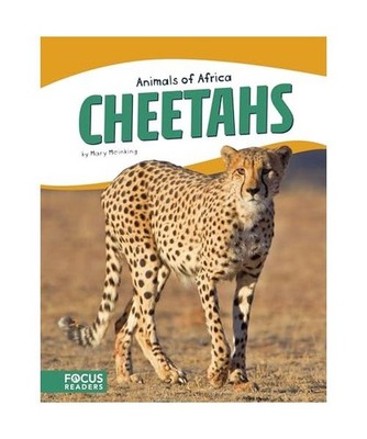 Cheetahs, Mary Meinking
