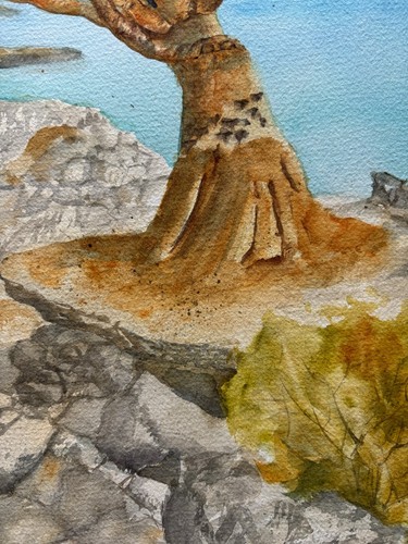 Pintura acuarela original árbol dragón arte Sukotra decoración del hogar 12*16 - Imagen 14 de 16