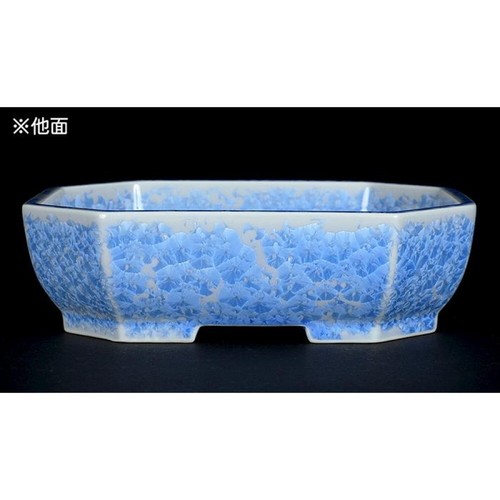Japanese bonsai pot HEIAN SENZAN Rectangle shape W16.5cm H5cm Light blue Glazed - Picture 17 of 24