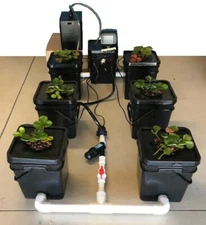 Southern Hydroponics Recirculating Deep Water Culture(DWC) 1+6 Hydro System 