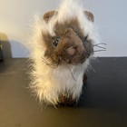 New ListingGanz Webkinz Himalayan Cat 9" Plush Kitty Hm165 No Code