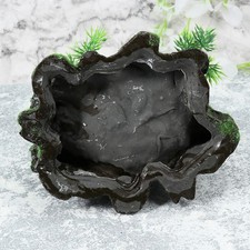  Bols À Eau Pour Reptiles Gamelle Ornement D'aquarium Plat De Nourriture Gecko