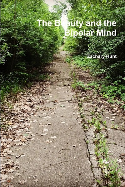 The Beauty And The Bipolar Mind Zachary Hunt Taschenbuch Kartoniert / Broschiert-image