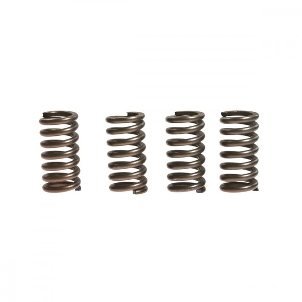 Kupplungsfeder VerstäRkt (4Stk) EBC CSK012 FüR Honda GL 650 D Silverwing 1983-image