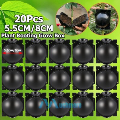 2~20pc Plant Rooting Devices Growing Grafting Box High Pressure Propagation Ball