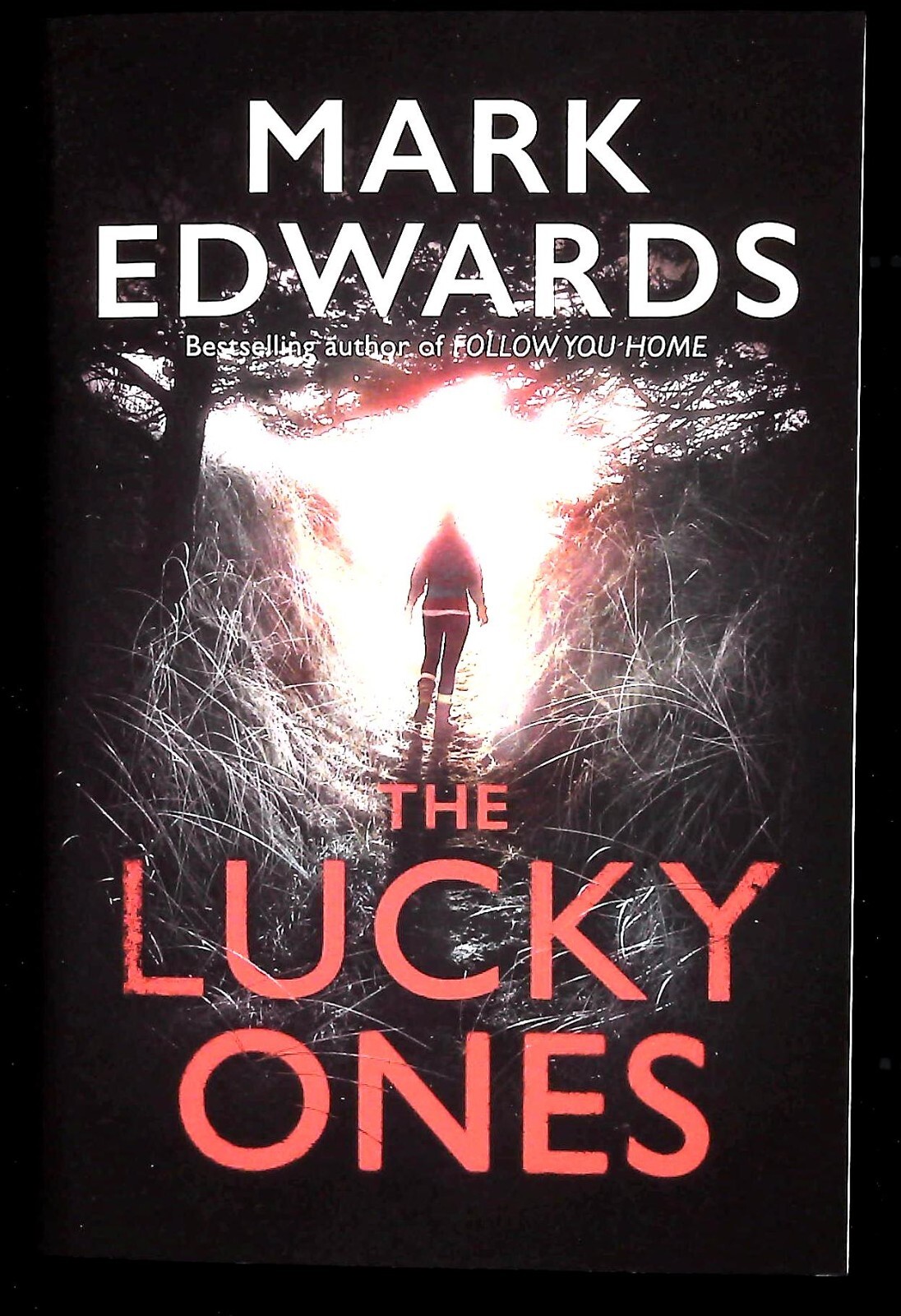 Mark Edwards The Lucky Ones (Paperback) Book New