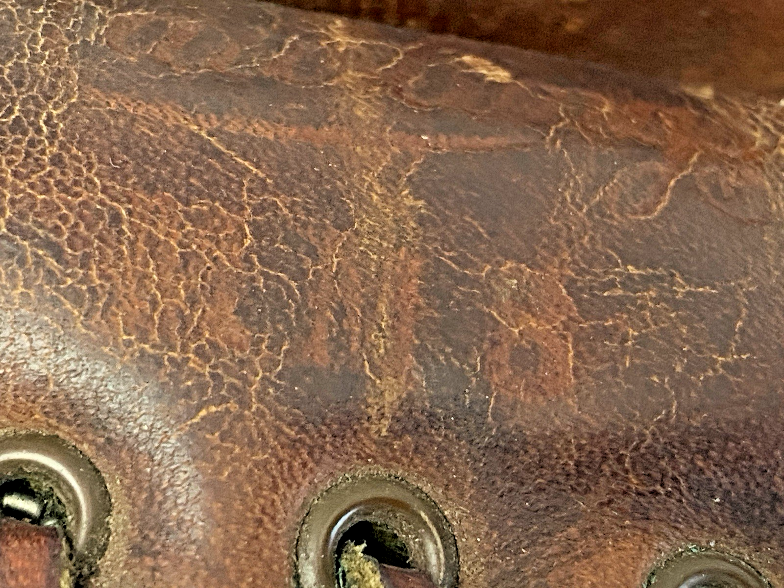 Picture 9 of 11