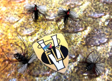4 V Fly Size 14 Ultimate Top Of The Water Super Aero Red Legs Trout Dry Flies