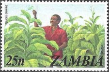 Timbre Flore Tabac Zambie 143 ** (66684DJ)