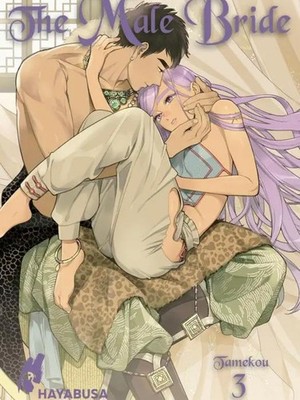 The Male Bride 3 Manga Versandkostenfrei Deutsch Anime Boyslove Yaoi Hayabusa