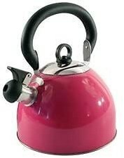 2.5L Stainless Steel Whistling Kettle Electric Gas Hob Camping Tea Coffee Spout