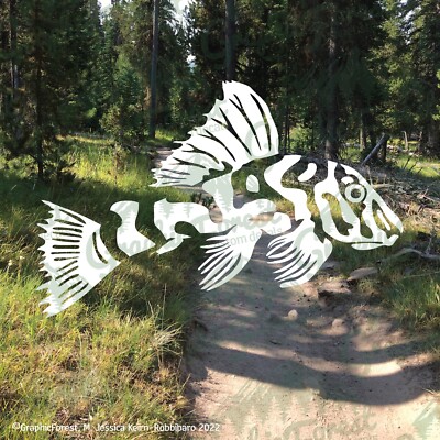 Leopard Frog Pleco Fish Decal