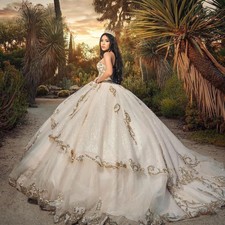 Luxury Quinceanera Dresses Ball Gown Beaded Sweet16 Lace-Up Birthday Party Dress
