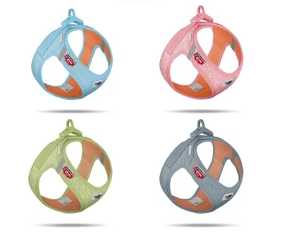 Curli CLASP Harness Air-Mesh Hundegeschirr Special Edition 24 div. Ausführungen
