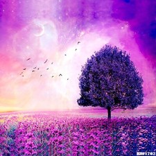 10'x10'Flowers Computer-painted Outdoor Scenic Photo Background Backdrop BHF1702