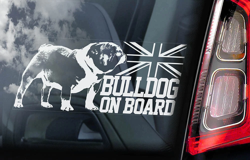 English bulldog 2025 car window decals