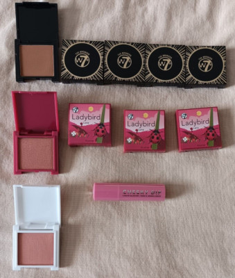 W7 The Bronzer Blush Blusher Lot Ladybird Lane Locus Lake Cheeky Dip Liquid