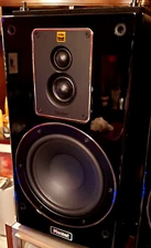 MAGNAT SPK 503 COPPIA 170 WATT AMAZING SOUND FULLY TESTED OPEN BOX NEW ITEM SAVE