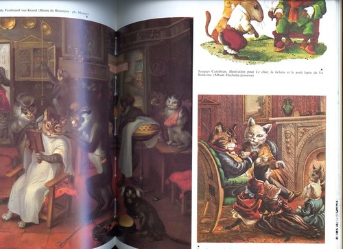 Bibliothèque illustrée du CHAT Juliette Raabe 2 Volumes - Picture 7 of 12